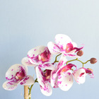 Arranjo Orquídea Artificial Tigre No Vaso Branco | Formosinha